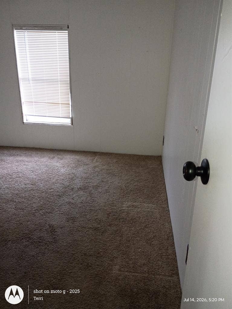 Roommate Wanted
