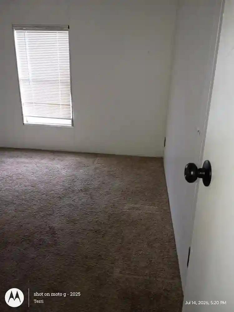 Roommate Wanted
