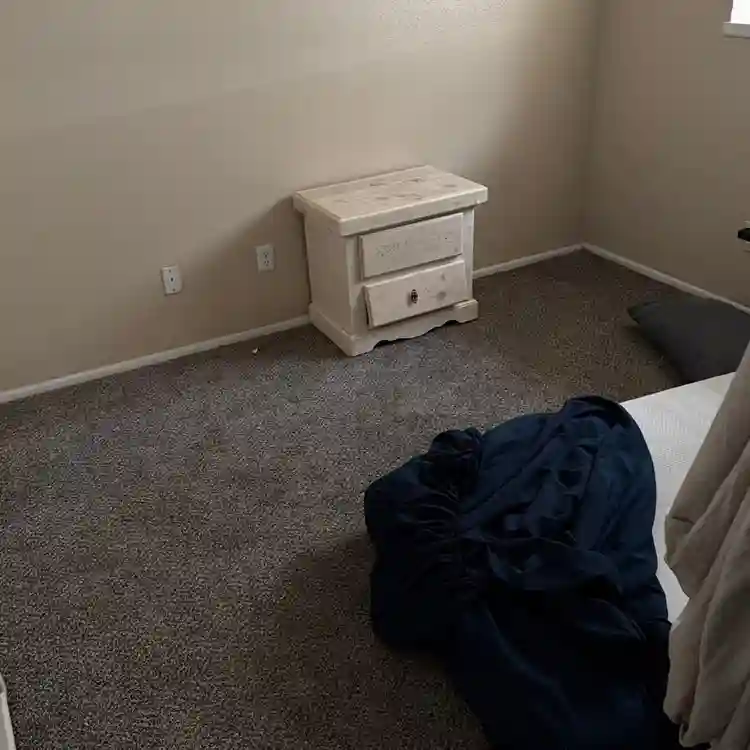 Need a roommate