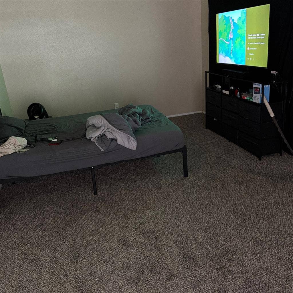 Need a roommate