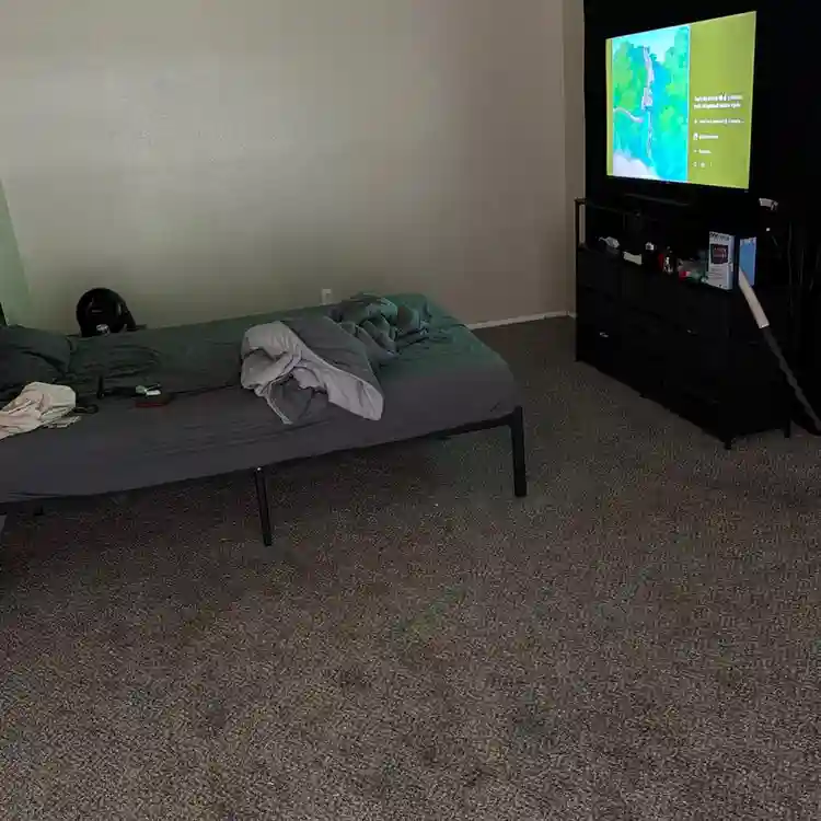 Need a roommate