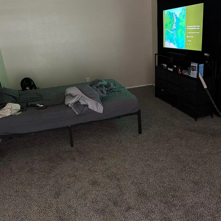 Need a roommate