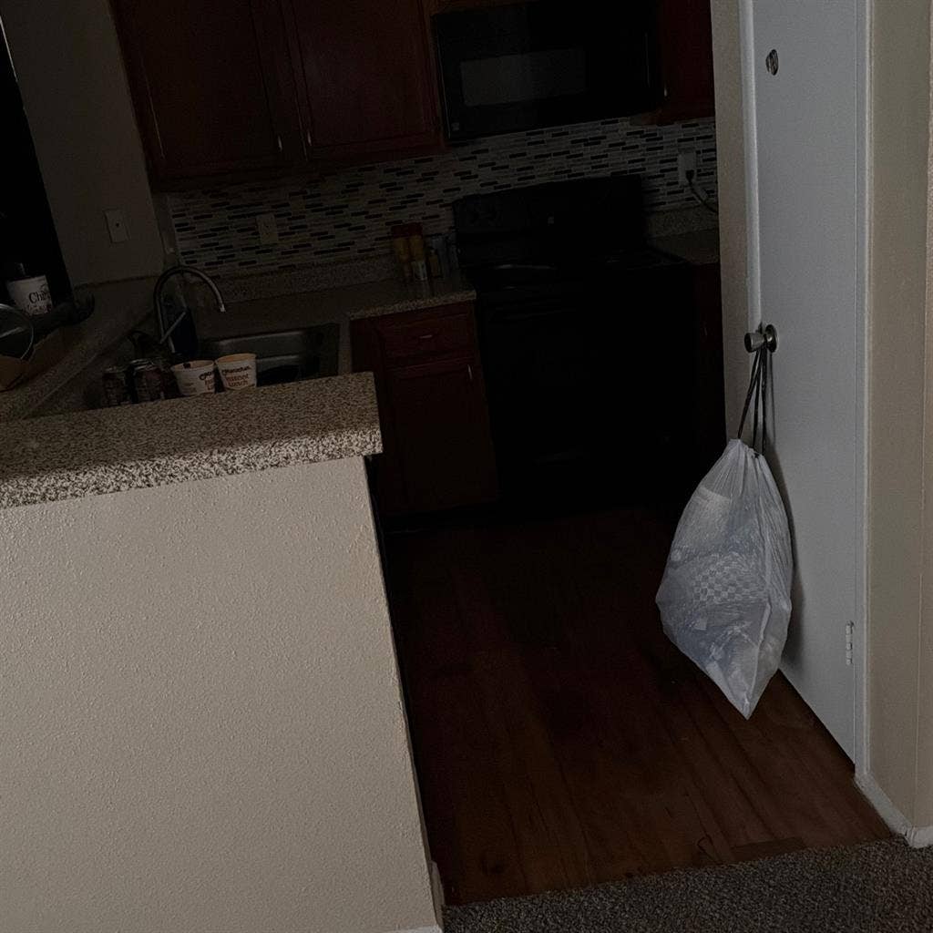 Need a roommate