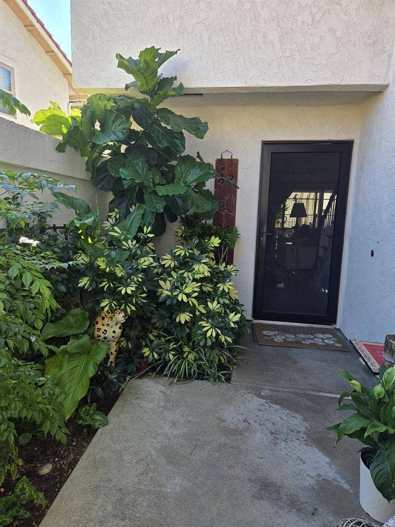 BEAUTIFUL FURNISHED ROOM 4 RENT