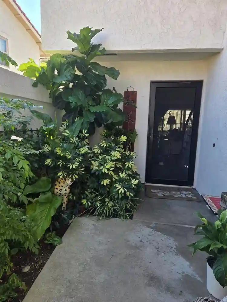 BEAUTIFUL FURNISHED ROOM 4 RENT