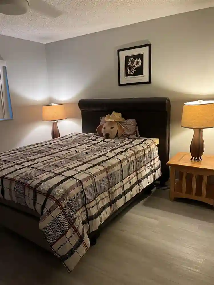 Great house for Roomate