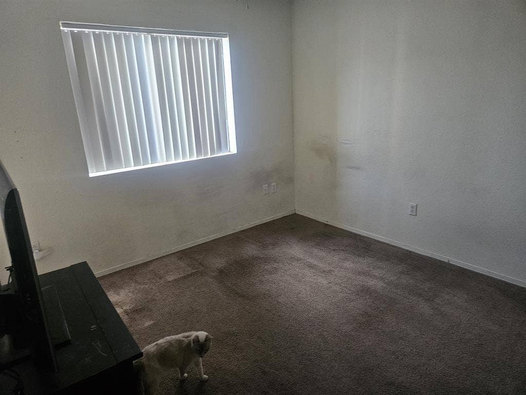 Looking for roommate