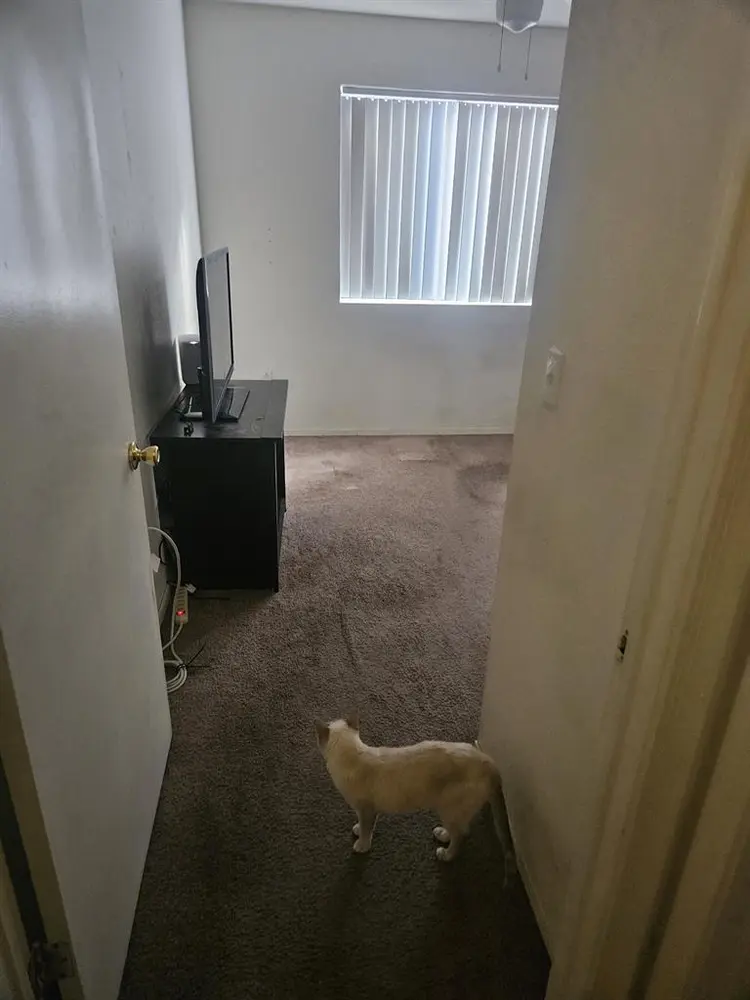 Looking for roommate