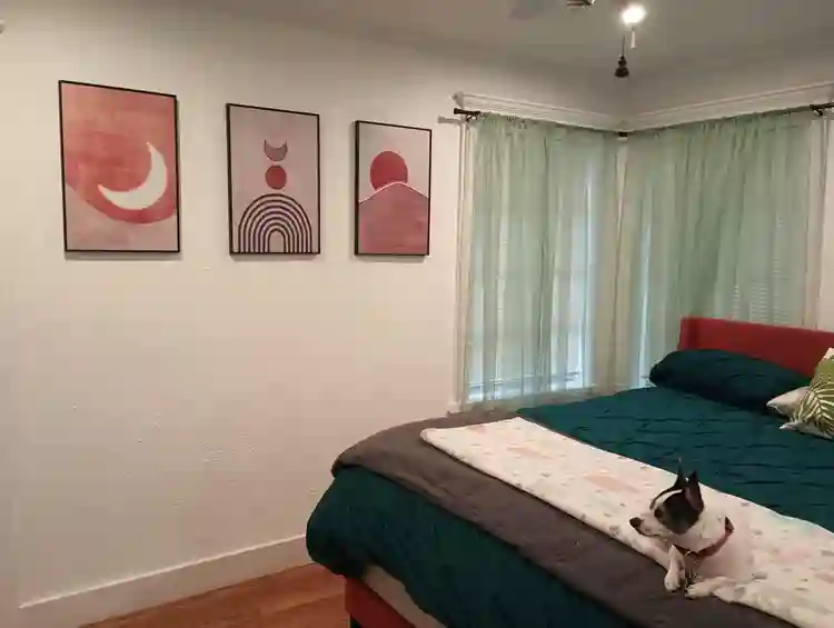 Mid-Century Home In Carrollton