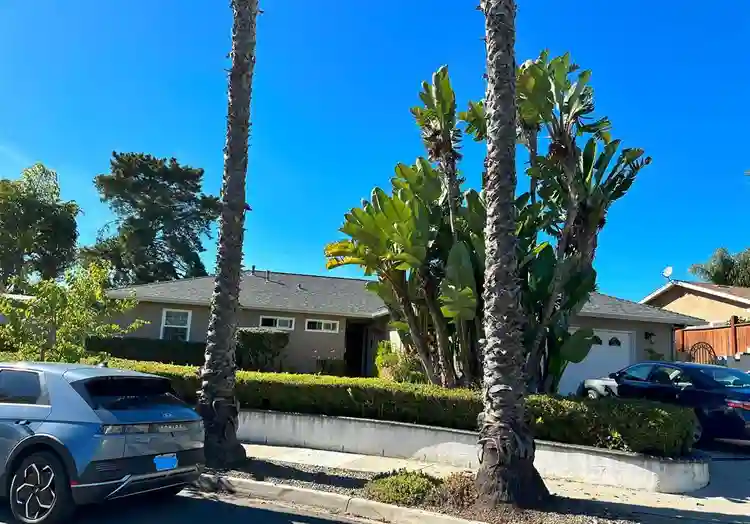New Listing