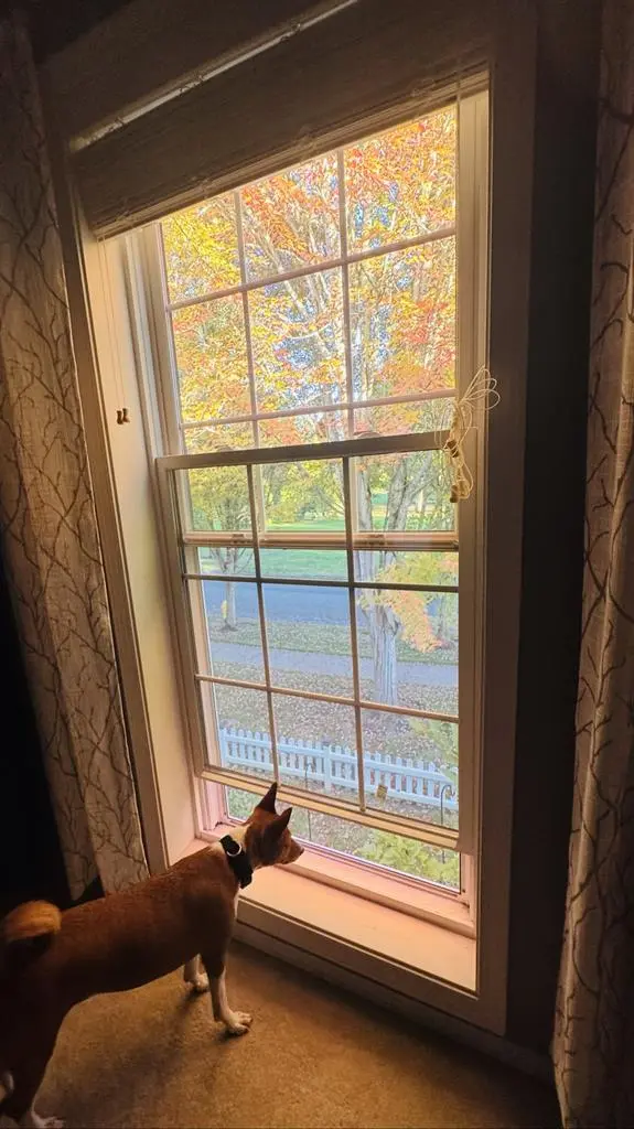 1 Bedroom for rent in Hillsboro OR