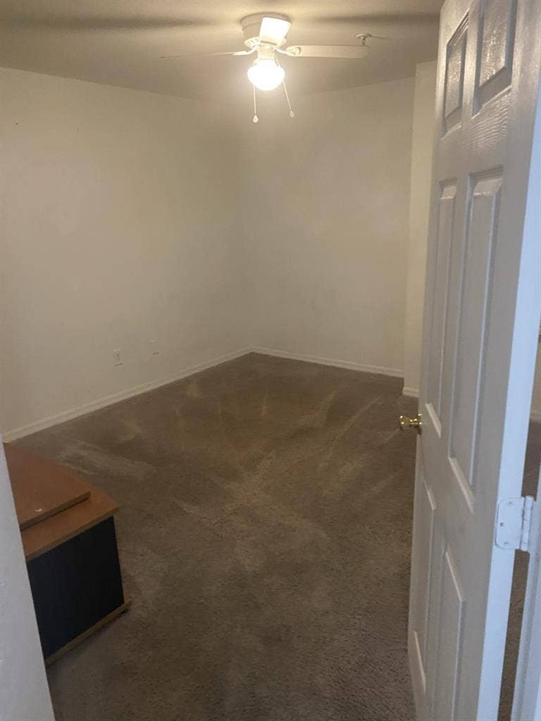 Needing a roommate.