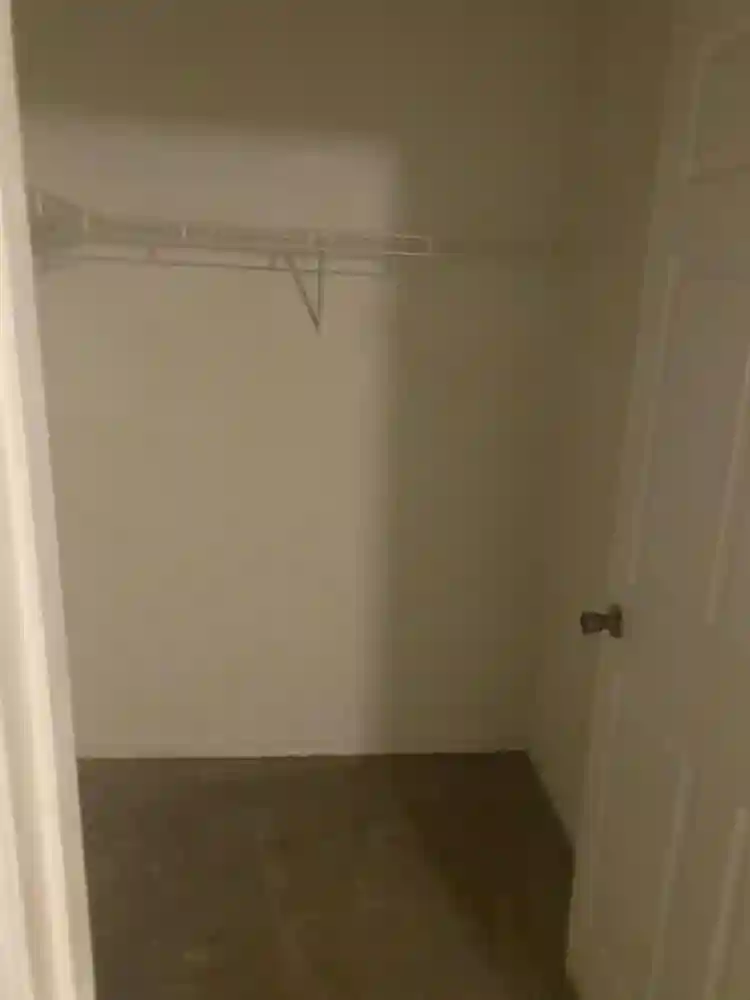 Needing a roommate.