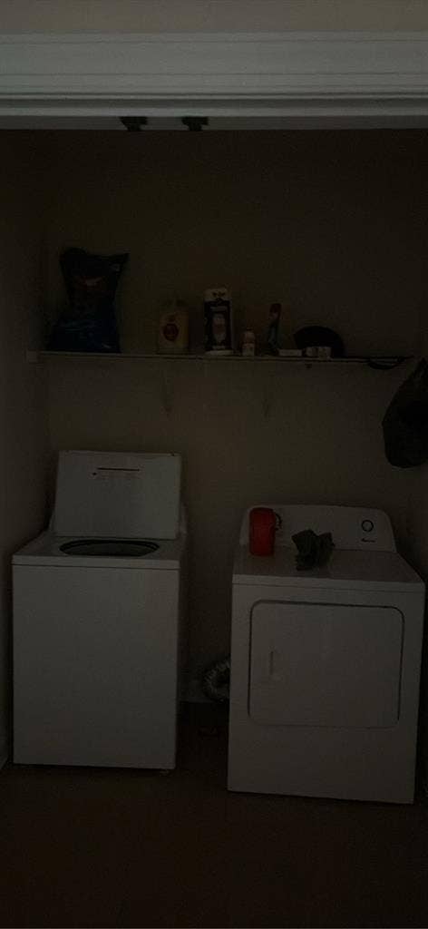 Looking for a roommate!