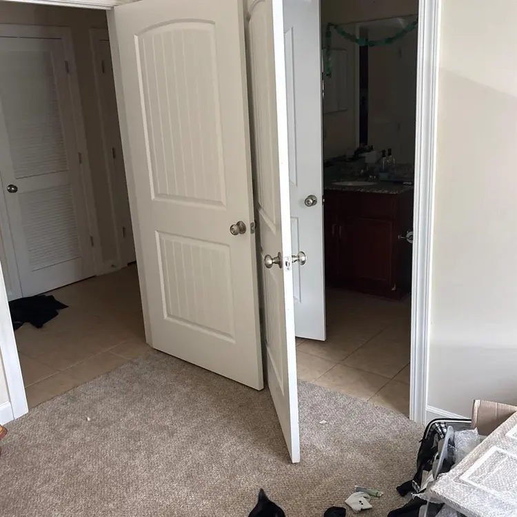 Looking for a roommate!