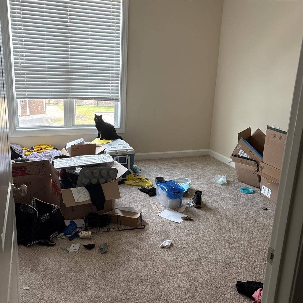 Looking for a roommate!