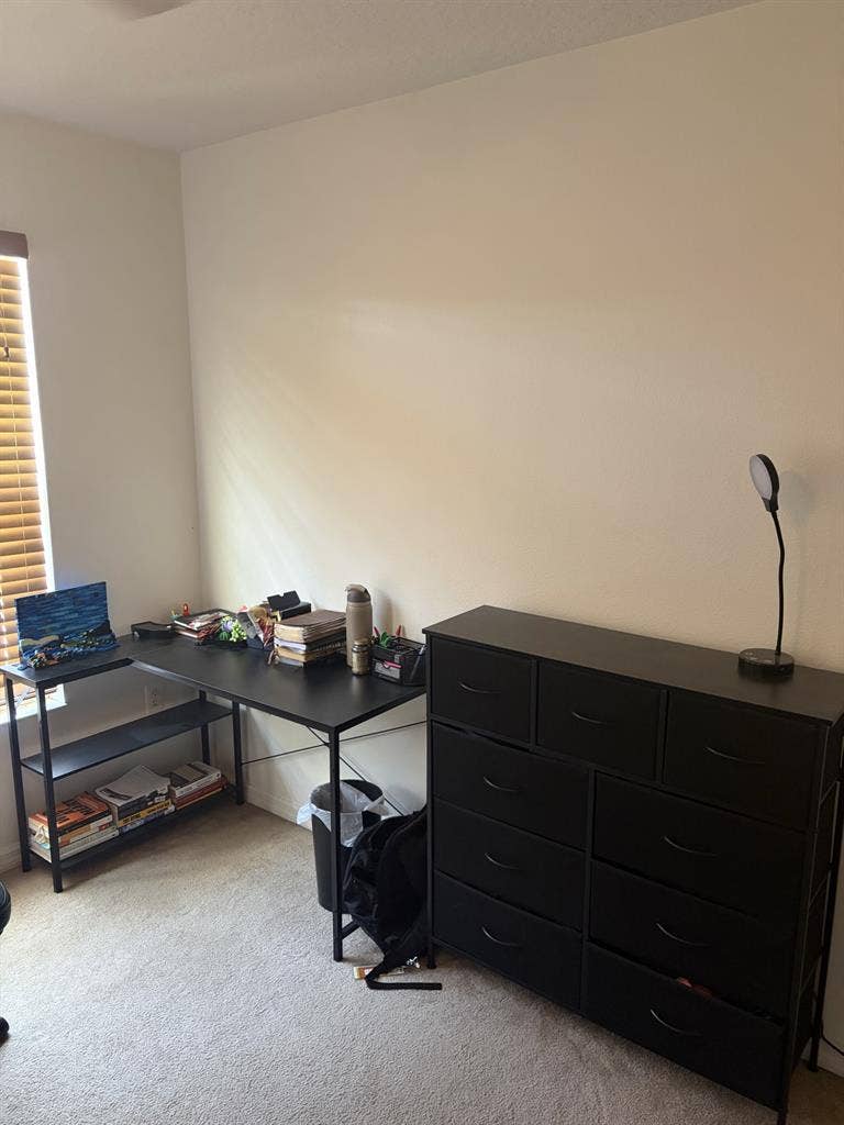 Looking for 5th roommate!