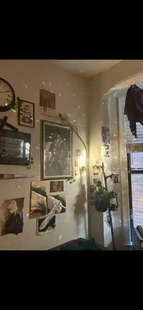 Apartment on DePaul Campus