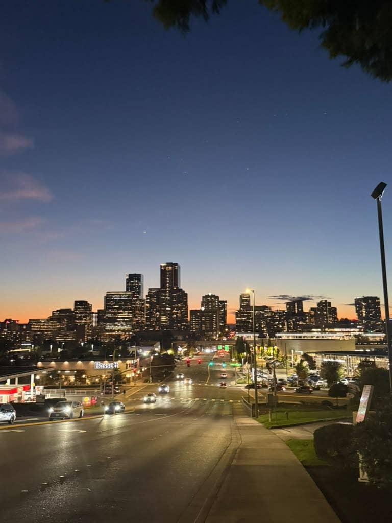 Female Roommate Wanted - Bellevue