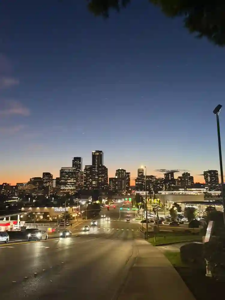 Female Roommate Wanted - Bellevue