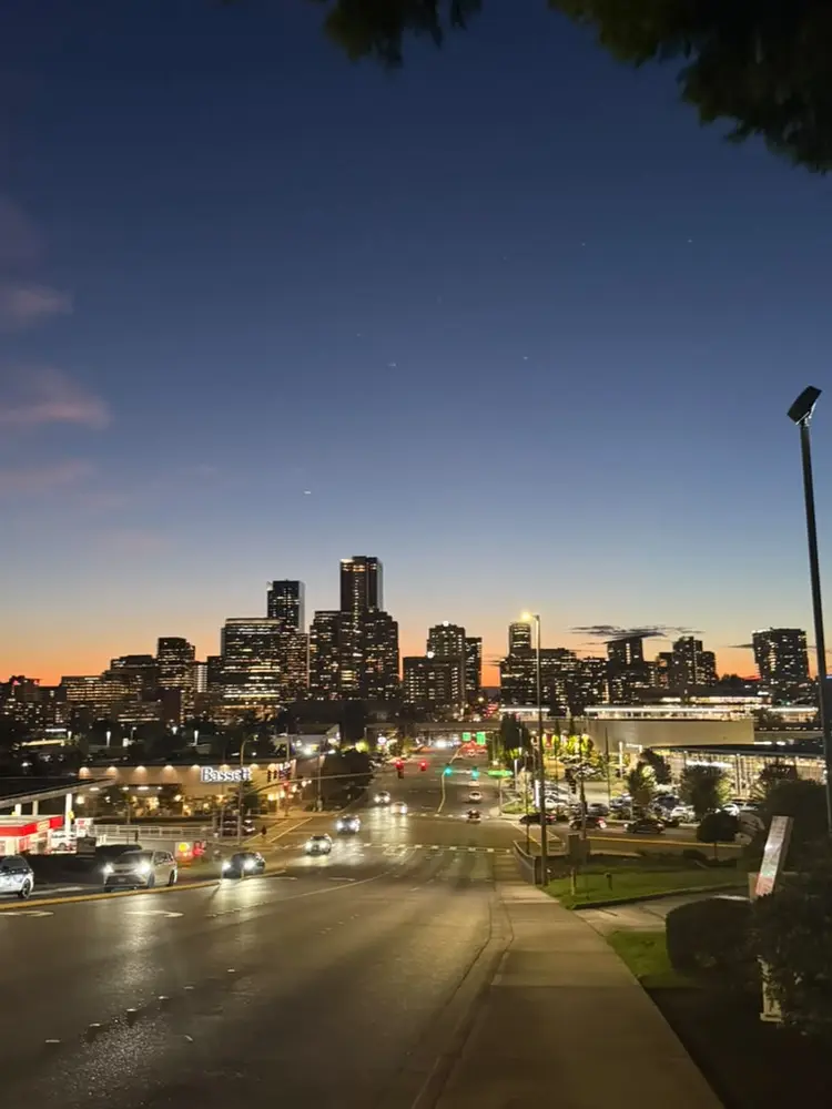 Female Roommate Wanted - Bellevue