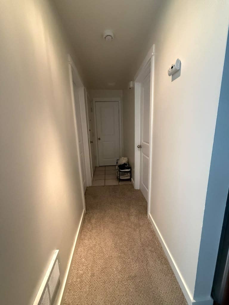 Female Roommate Wanted - Bellevue