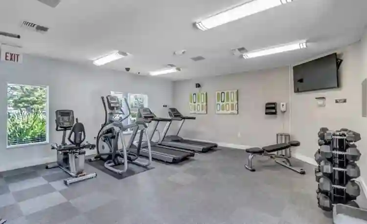 looking for a female roommate