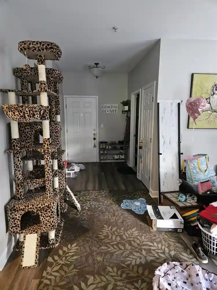 Azalea Trace 1BR Utilities included