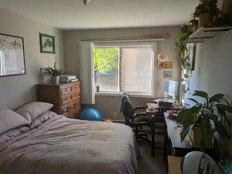 2 bed 1bath in Bloomington for rent