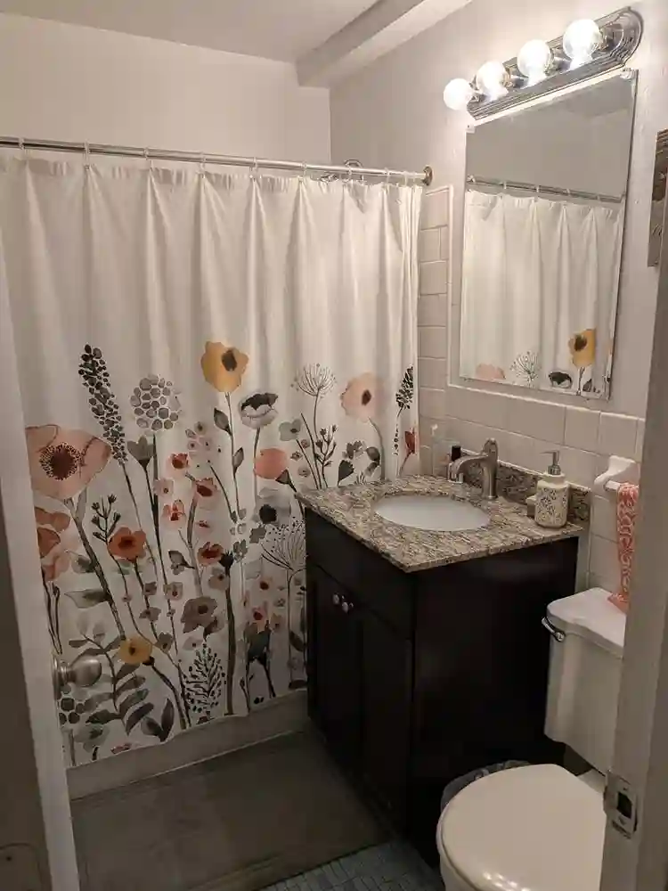 2 bed 1bath in Bloomington for rent