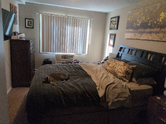 2 bed 1bath in Bloomington for rent