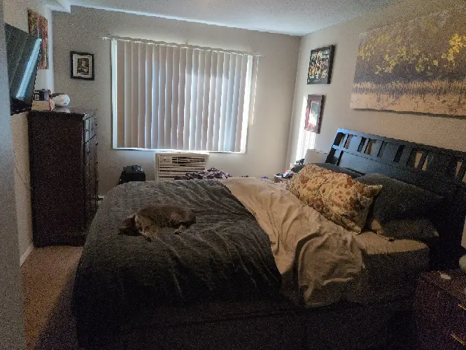 2 bed 1bath in Bloomington for rent