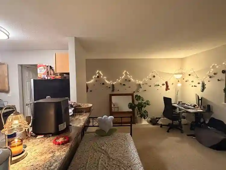 Subleasing apartment: Nov 2026