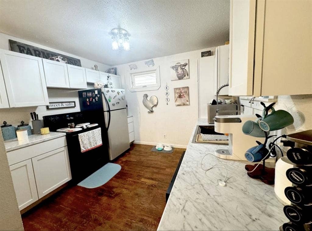 Roommate for fully furnished home