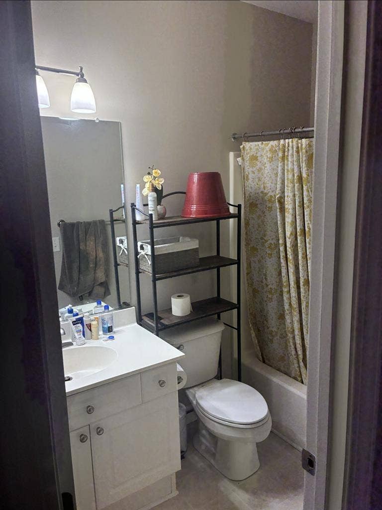 LOOKING FOR A ROOMMATE