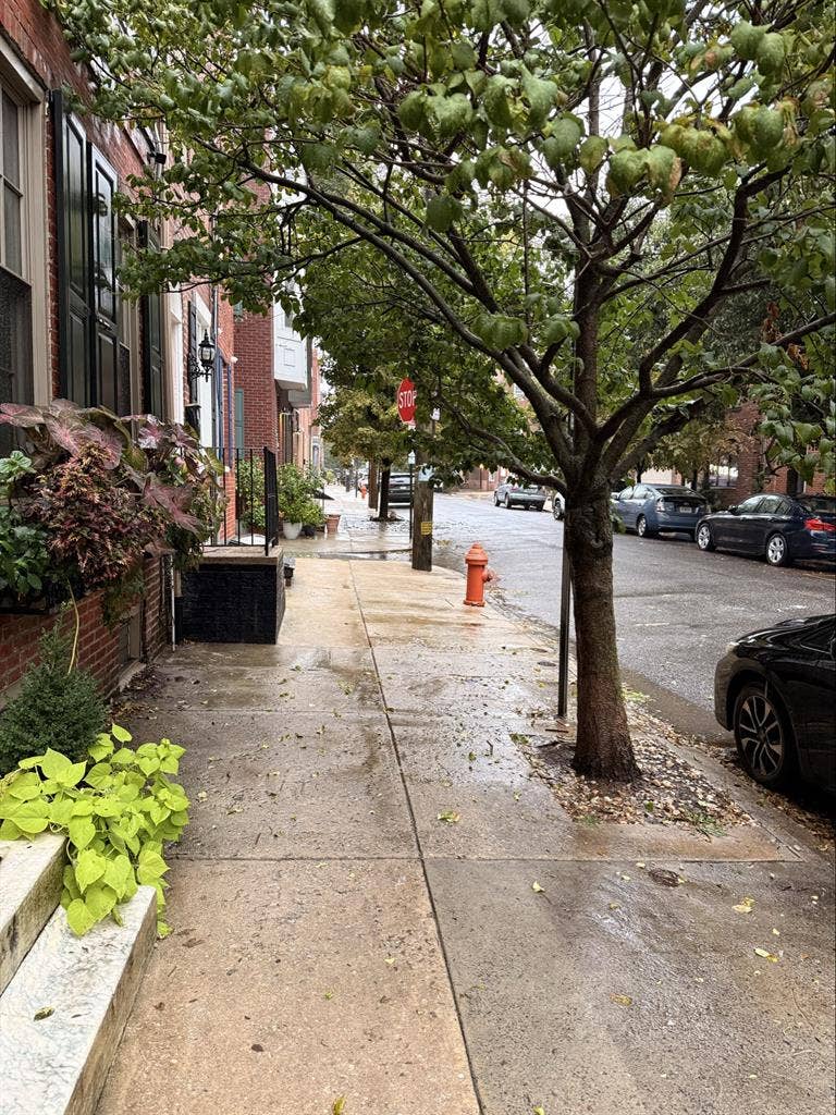 Queen Village House Share