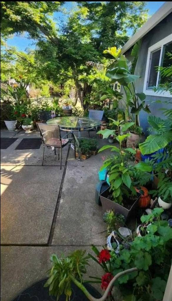 Spacious Room for Rent