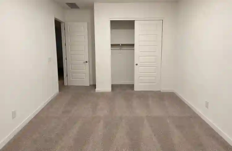 looking for roomate