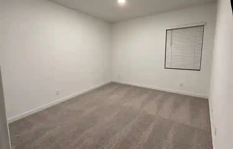 looking for roomate
