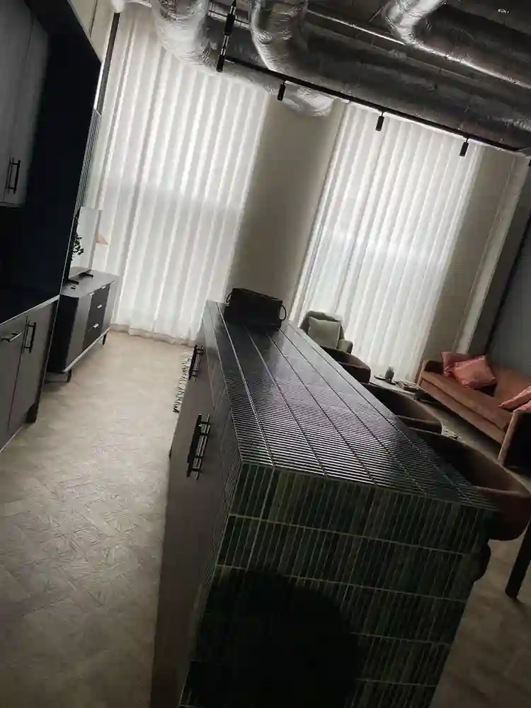 Looking for tenancy transfer.