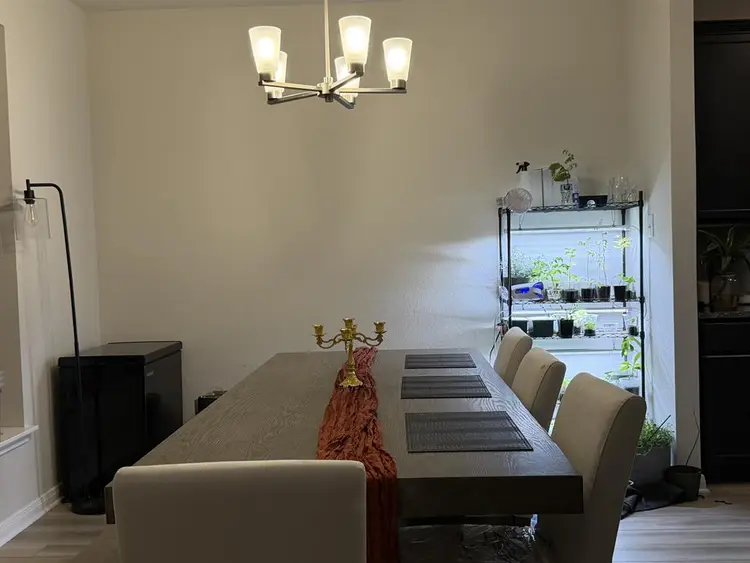 Room for rent!