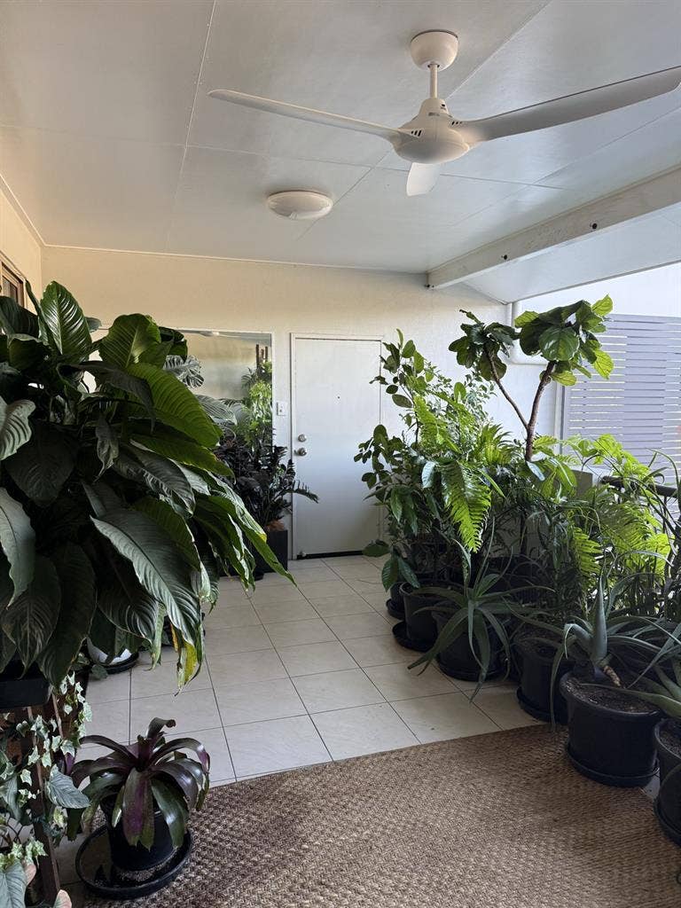 Room for rent in Cairns