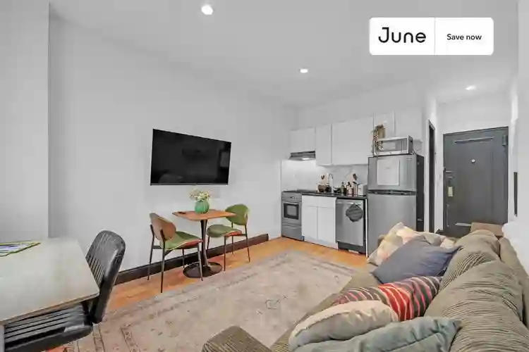 1 BR in New York City