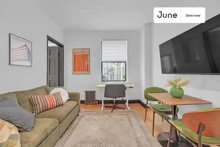 1 BR in New York City