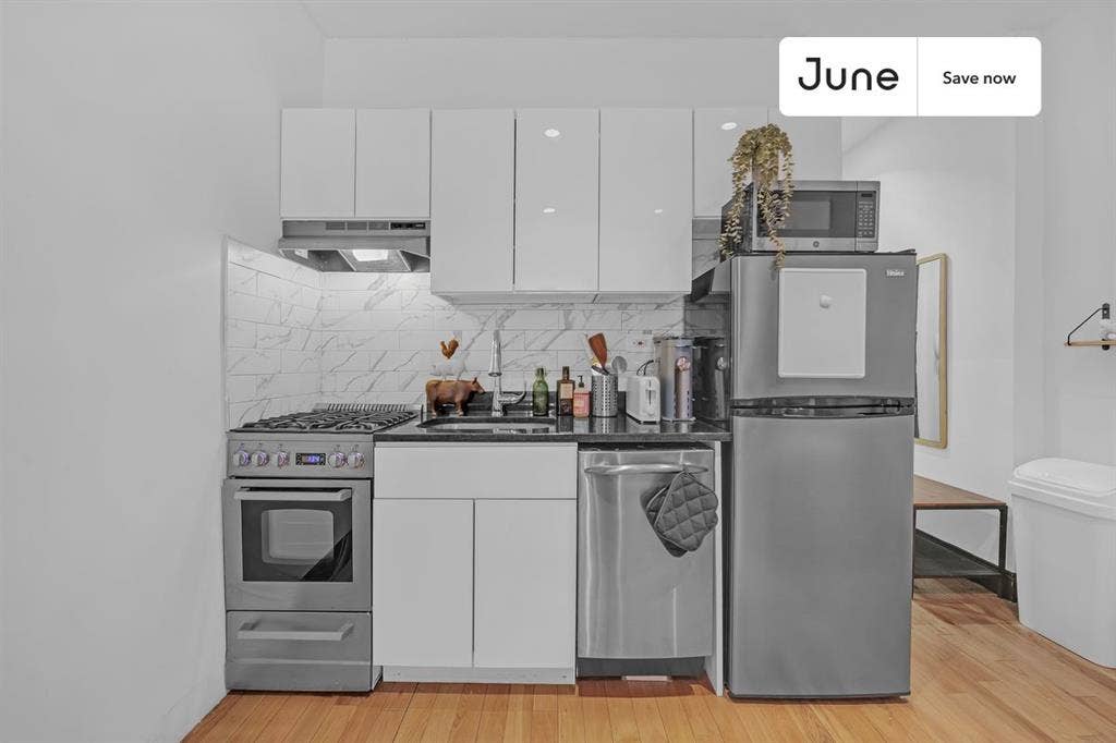 1 BR in New York City
