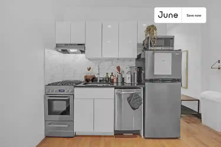 1 BR in New York City