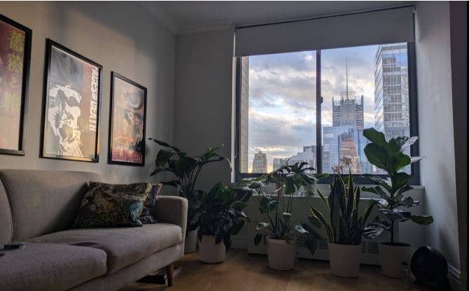 November Move-In, 12-Month Lease