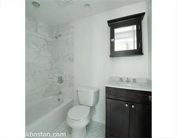 2BR 2BA Jamaica Plain OCT FREE