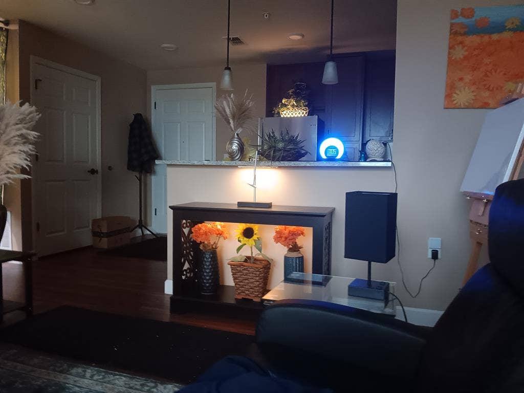 Temporary live in assistant no rent