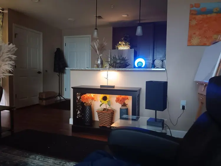 Temporary live in assistant no rent